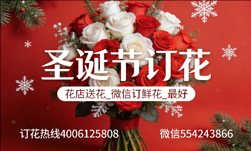 ���ݶ�ͷ�ػ���